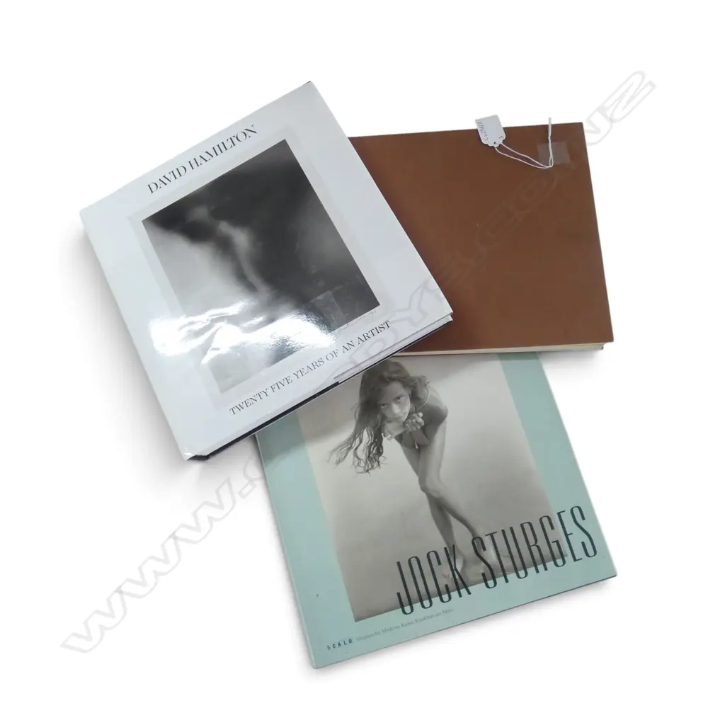 3 BOOKS OF NUDE PHOTOGRAPHY; JOCK STURGES, 2x DAVID HAMILTON Image 1++