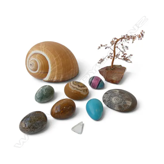 SHELL L.180mm + AGATE EGGS ETC