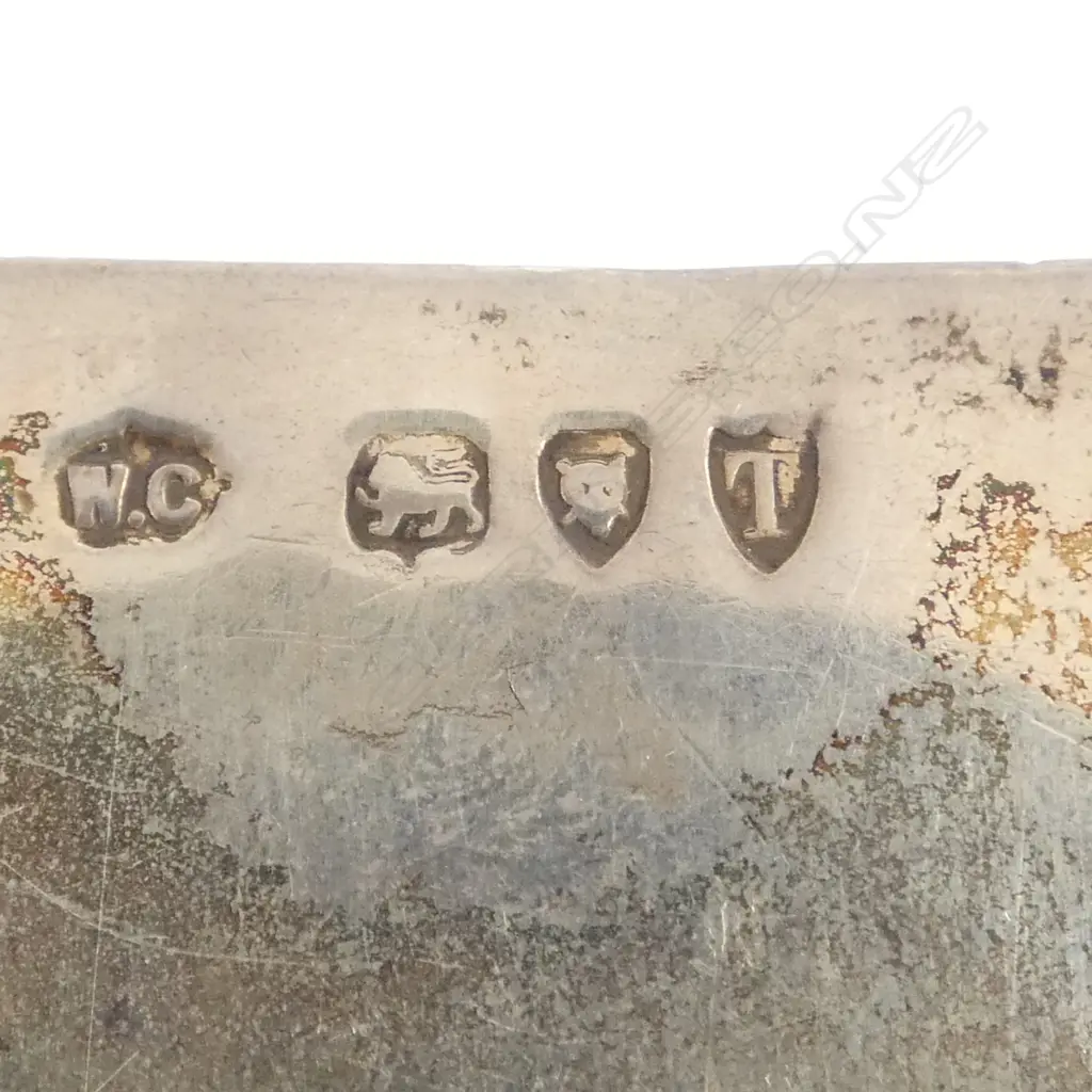 STG SILVER EMBOSSED CASE 45gms Image 1++