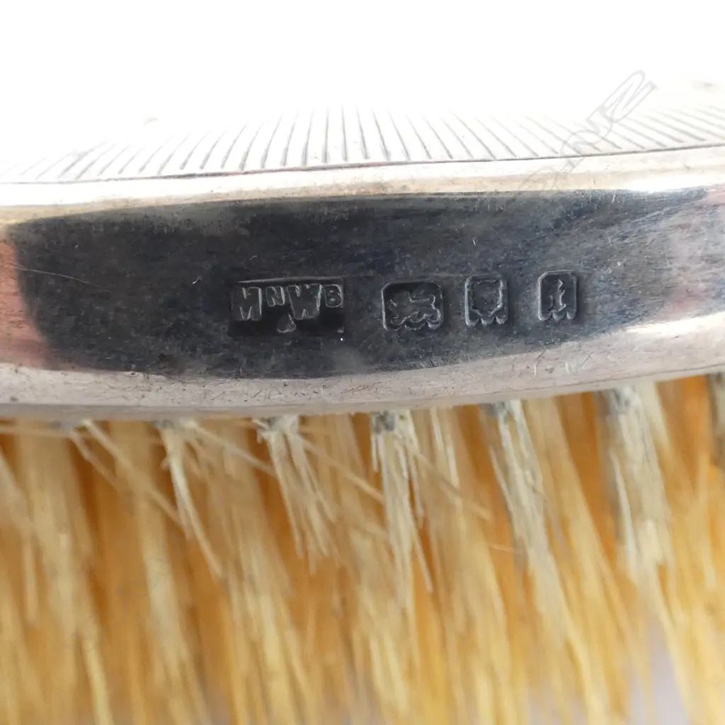 3 EARLY 20thC SILVER backed / handled VANITY ITEMS: hand brush + tweezers + file Image 1++