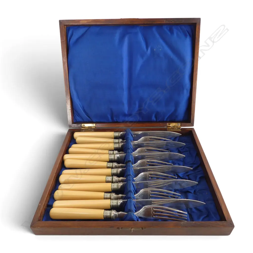 CASED 6 PLACE FRUIT SET w. IVORINE 'BONE' HANDLES Image 1++