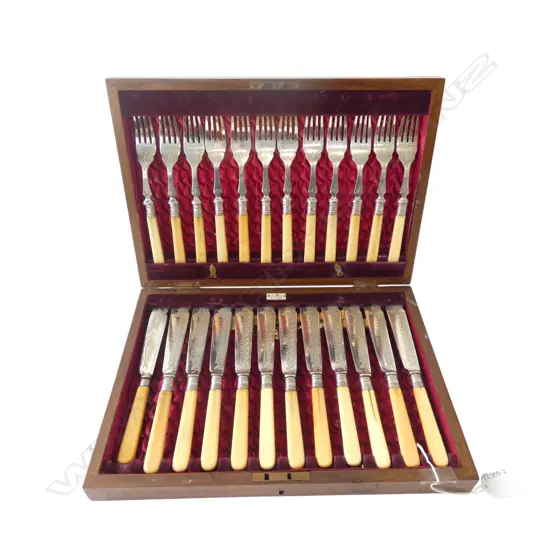 CASED CASEIN HANDLED NEAR COMPLETE SET FISH KNIVES AND FORKS
