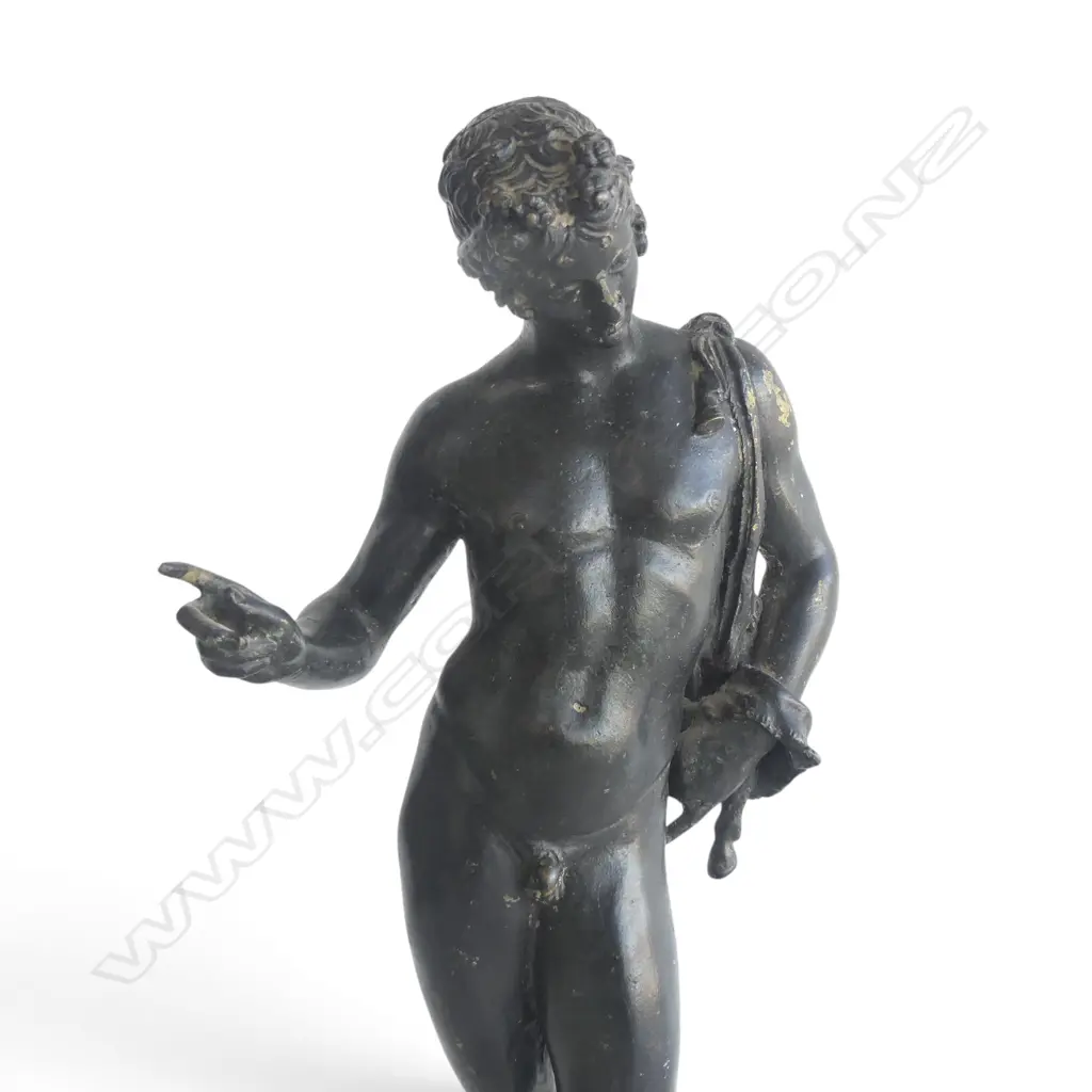 ANTIQUE BRONZE NARCISSUS H.280mm Image 1++