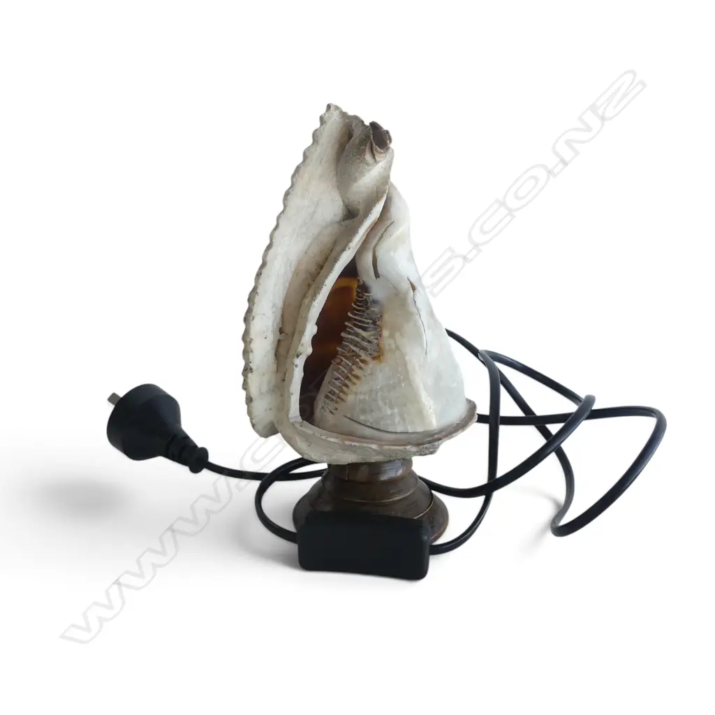 MADONNA CARVED CONCH SHELL SIDE LAMP on turned wood base. H.200mm Image 1++