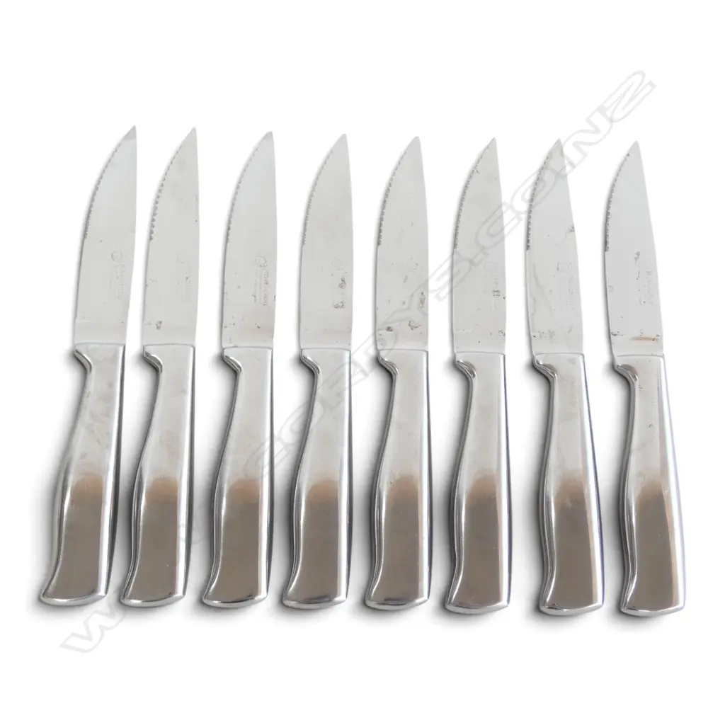 8 STAINLESS STEEL STEAK KNIVES 'REVOLUTION' AUSTRALIAN DESIGNED L.255mm Image 1++