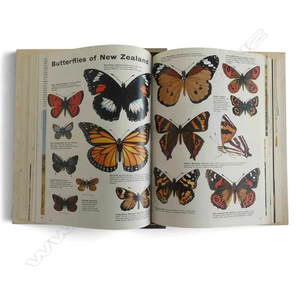 NEW ZEALAND’S HERITAGE 840 PGS IN 2 FOLDERS NZ HISTORY & PICTORIAL Image 1++