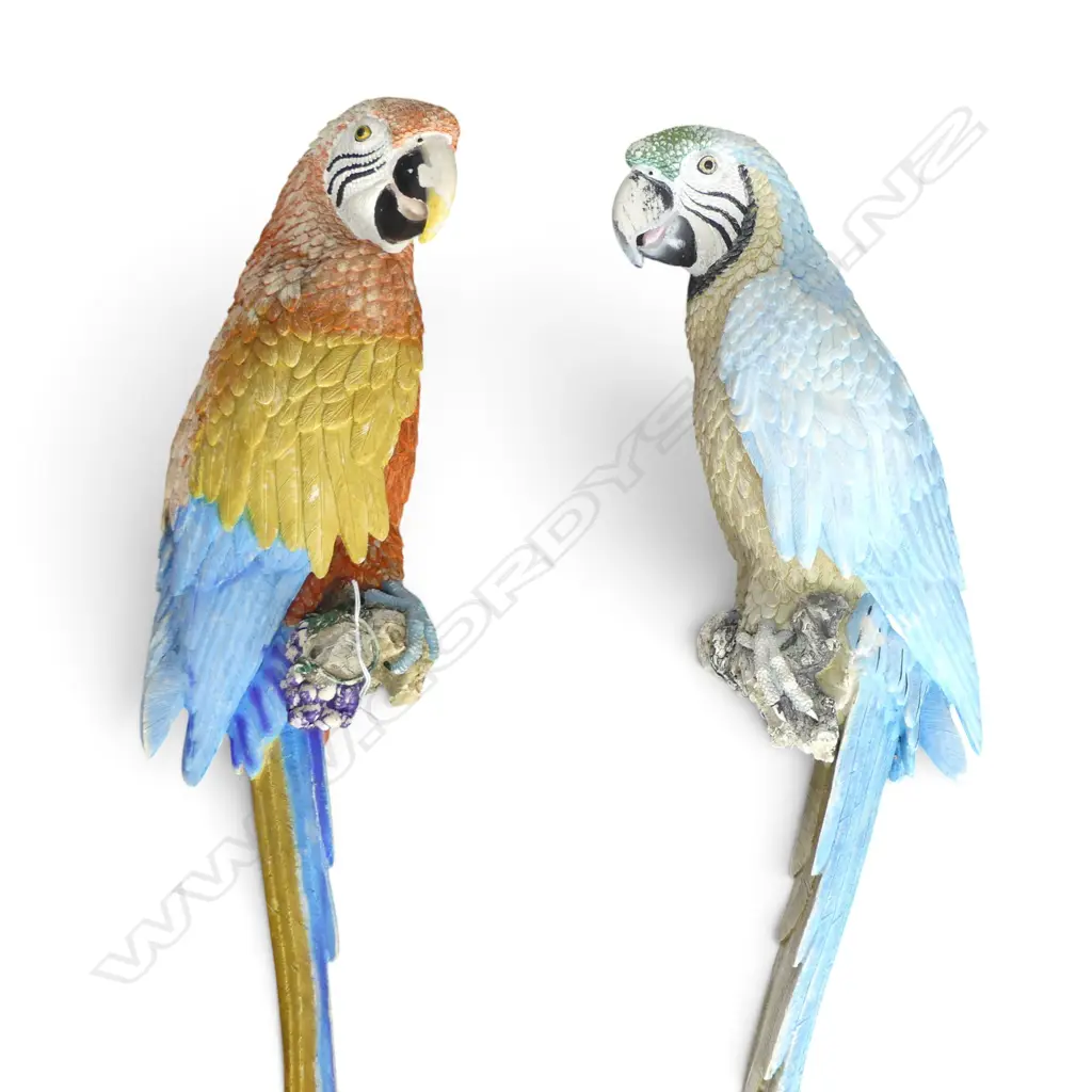 PR OF WALL HANGING MACAWS fading L.760mm Image 1++
