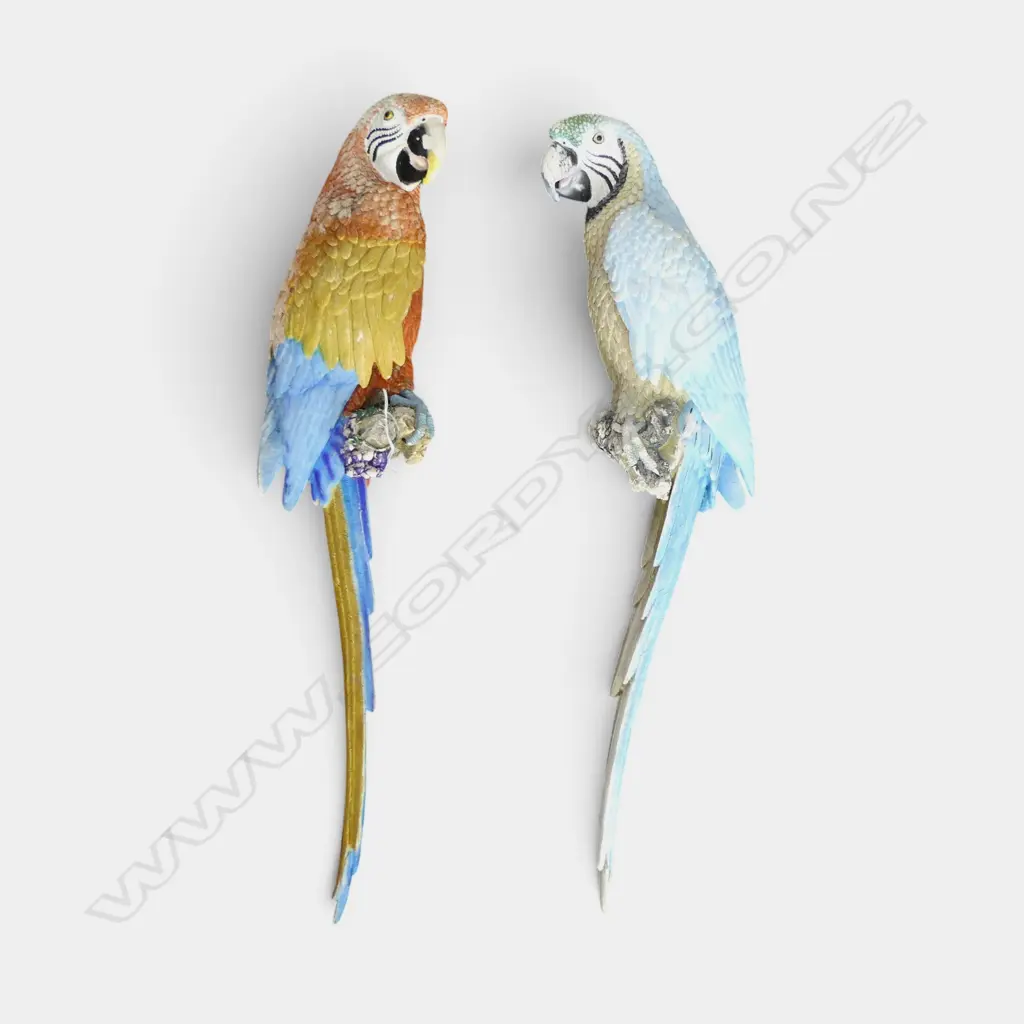 PR OF WALL HANGING MACAWS fading L.760mm Image 1++