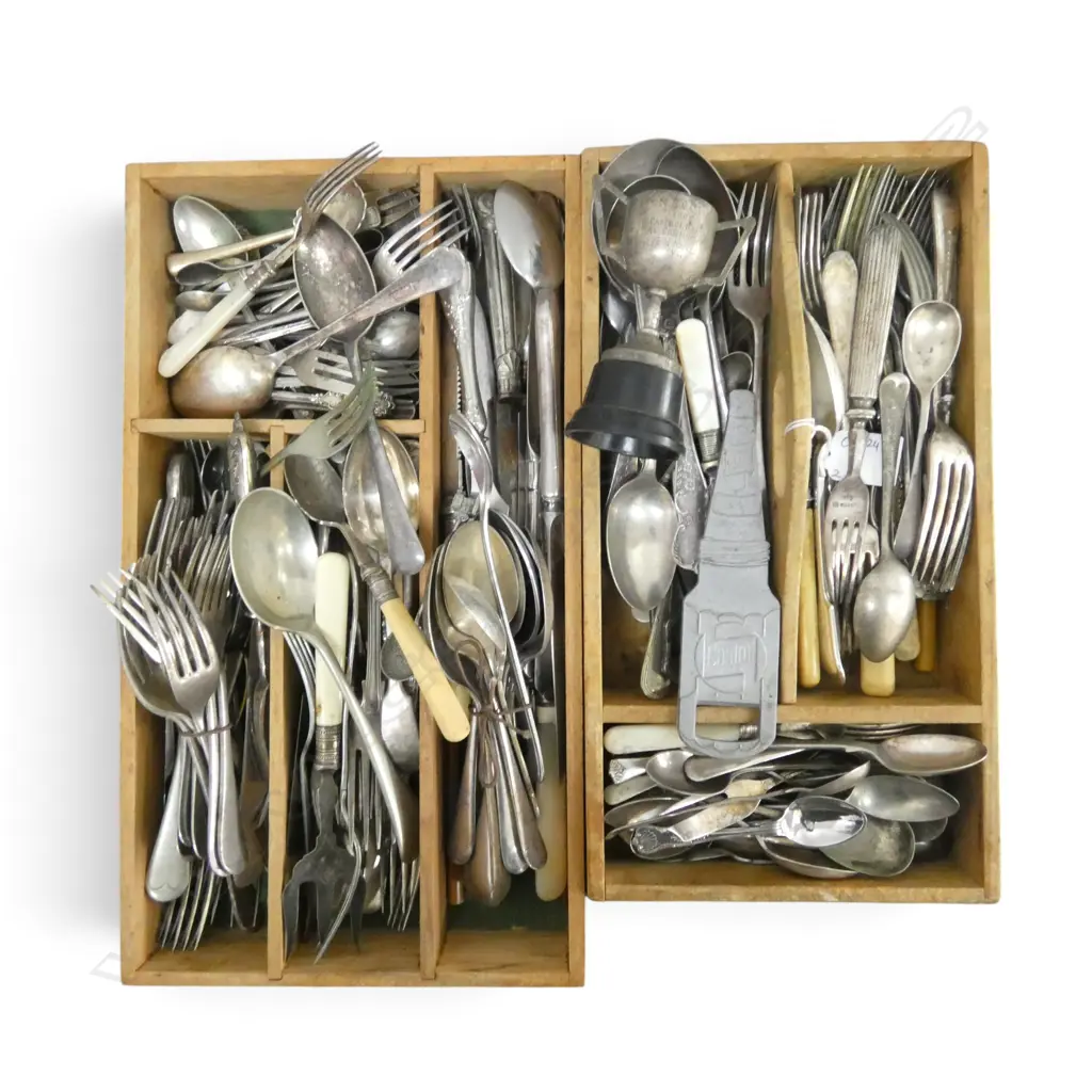 2 TRAYS ASST. EP CUTLERY Image 1++