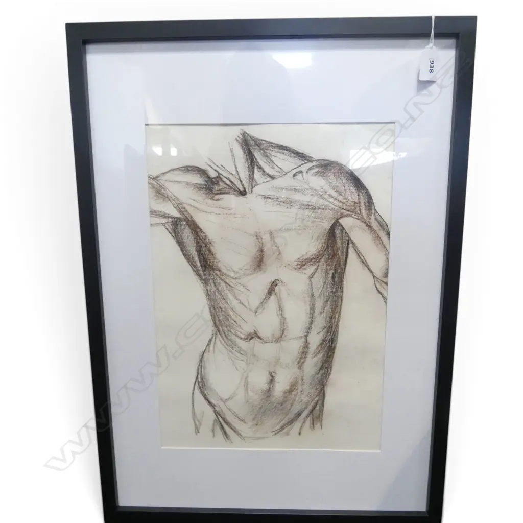 RON STENBERG, MALE TORSO, GRAPHITE, 410x280mm Image 1++