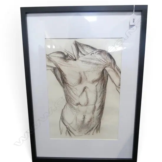 RON STENBERG, MALE TORSO, GRAPHITE, 410x280mm