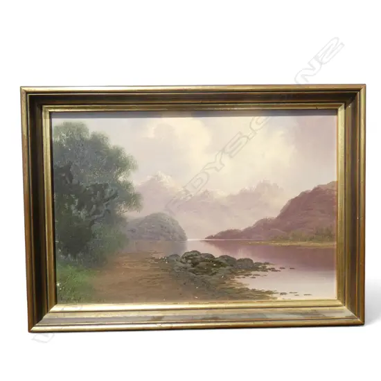 SIGNED ILLEGIBLY LOWER LEFT, SOUTH ISLAND LANDSCAPE, OIL ON BOARD, 245 X 360MM