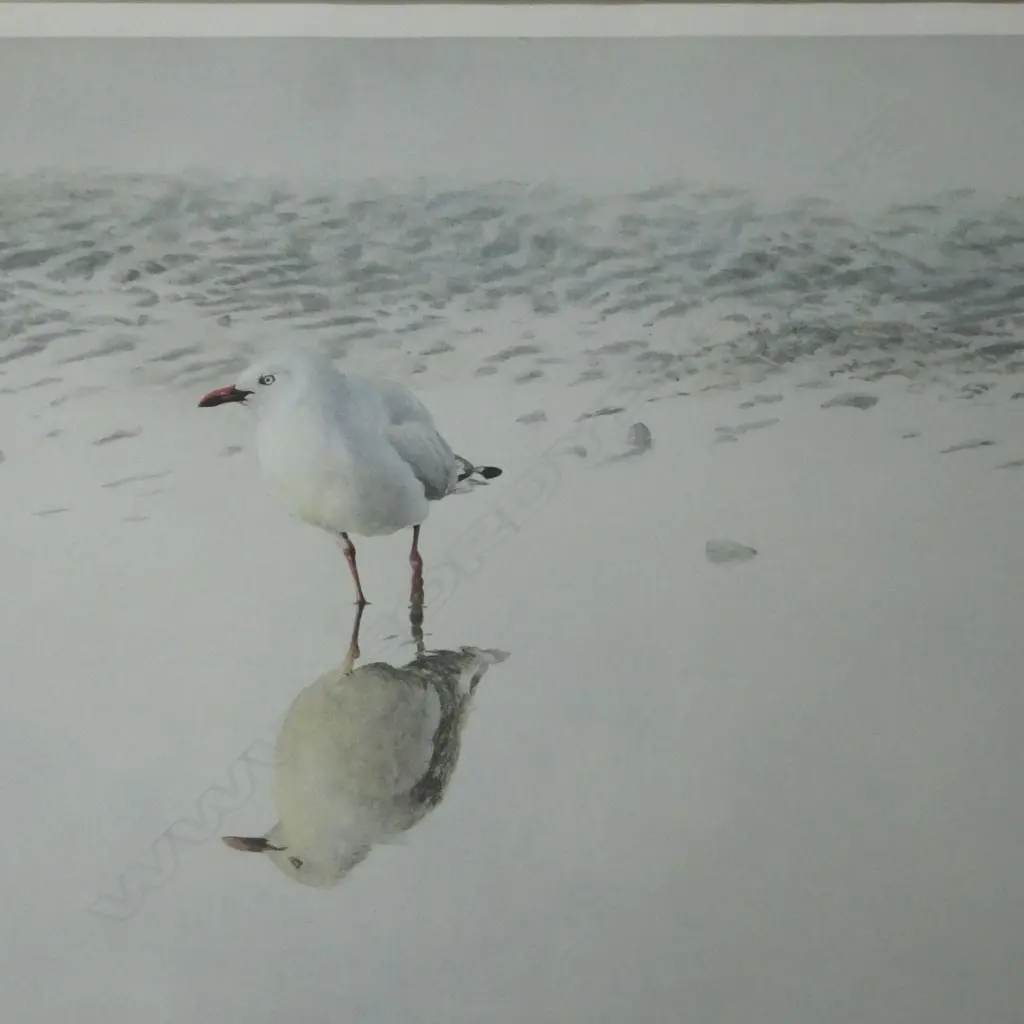 2 R CHING SIGNED PRINTS, RED BILLED GULL 310/850 & BLOOMSBURY GROUP 222/500  GLASS A/Fglass faults, 640x530mm Image 1++