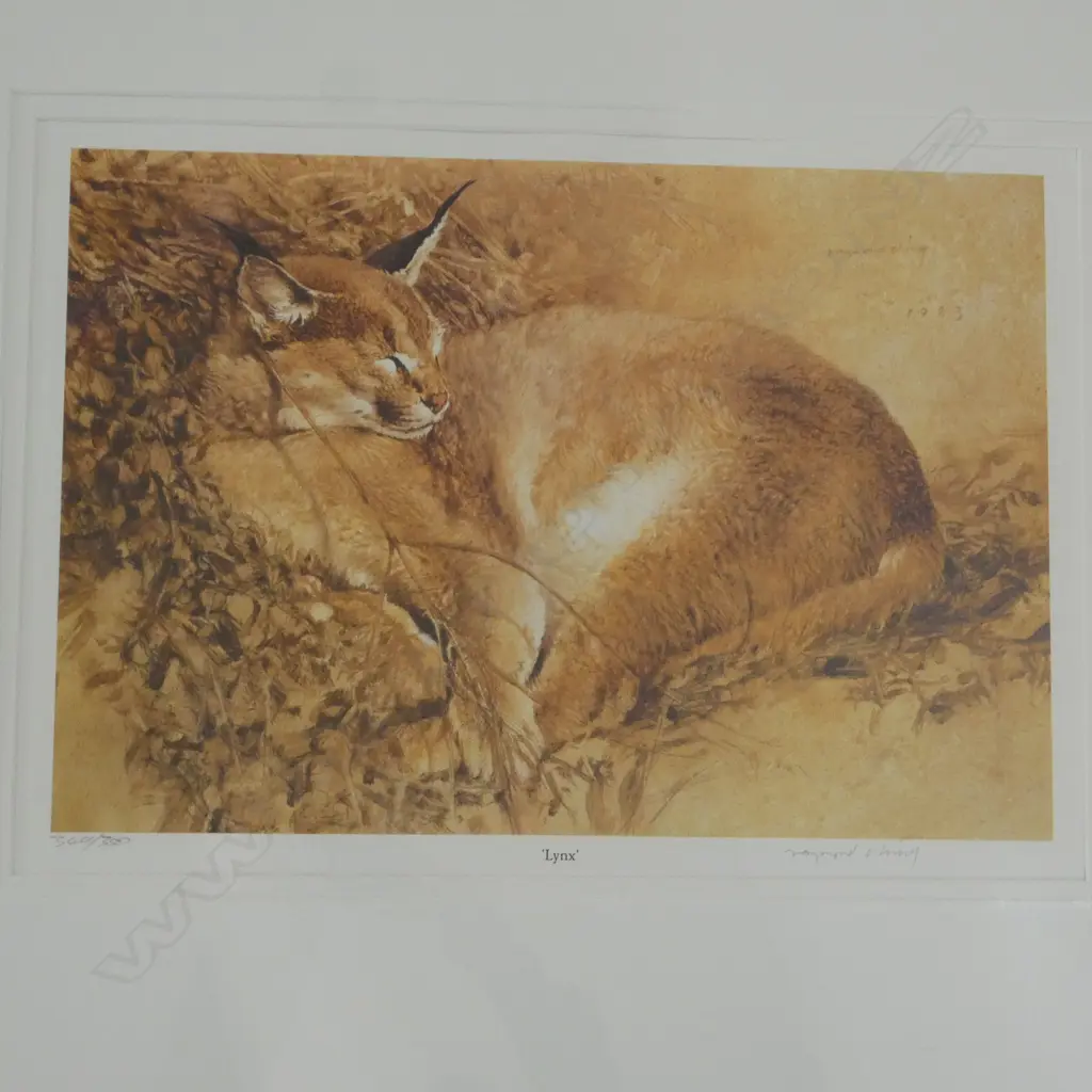 3 LOOSE R CHING SIGNED PRINTS, LYNX 349/380, SUMMER AFTERNOON 392/500, BEAR 260/350, 520x360mm Image 1++