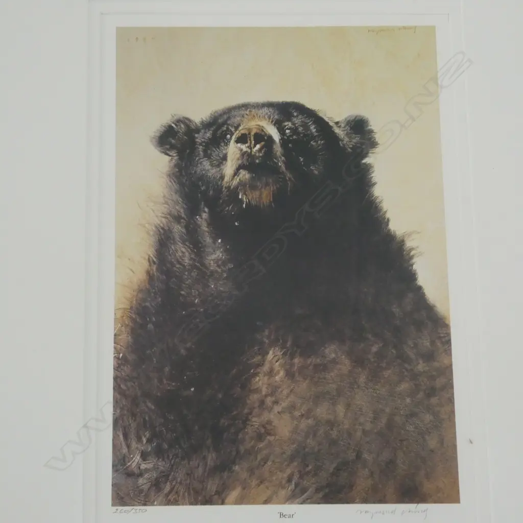 3 LOOSE R CHING SIGNED PRINTS, LYNX 349/380, SUMMER AFTERNOON 392/500, BEAR 260/350, 520x360mm Image 1++