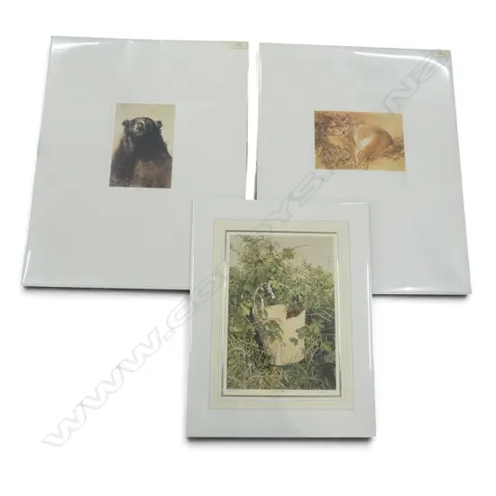 3 LOOSE R CHING SIGNED PRINTS, LYNX 349/380, SUMMER AFTERNOON 392/500, BEAR 260/350, 520x360mm