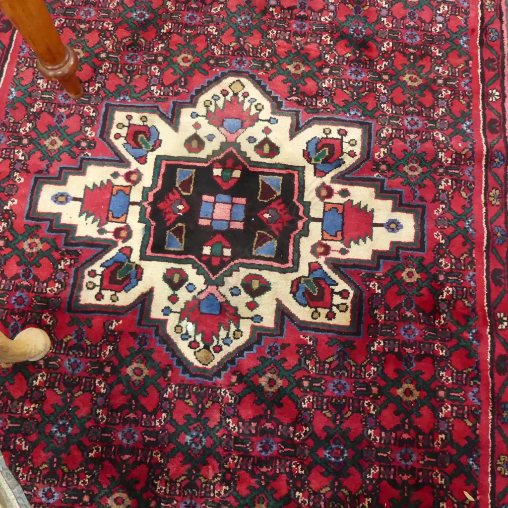 HAND KNOTTED WOOL PILE RUG 2850x1550mm Image 1++