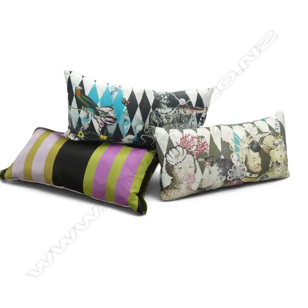 2 CHRISTIAN LACROIX 1 DESIGNERS GUILD CUSHION 550X 250 mm some fading Image 1++