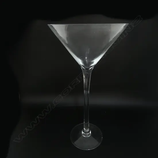 LG NOVELTY MARTINI GLASS H.500mm