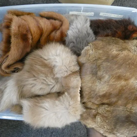 FUR STOLES ETC