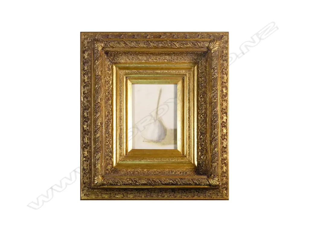 Peter Boggs - Garlic Bulb - mixed media on card in gilt frame Image 1++