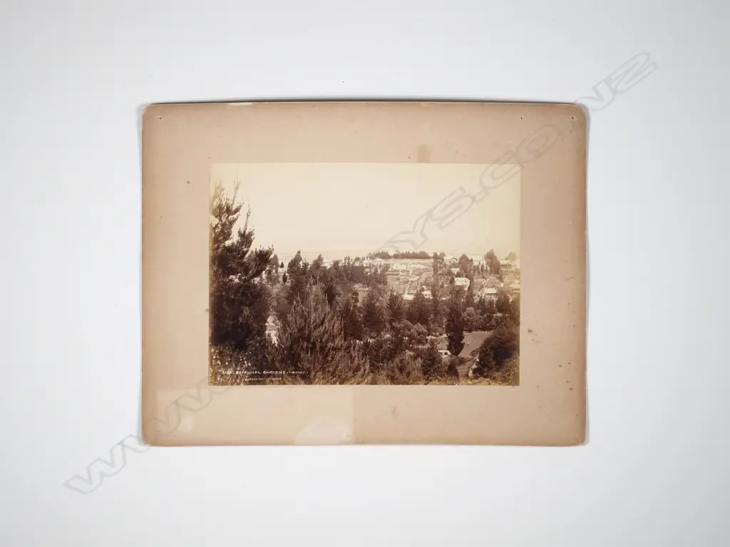 9 Assorted New Zealand Antique Photographs incl. Burton Bros Image 1++