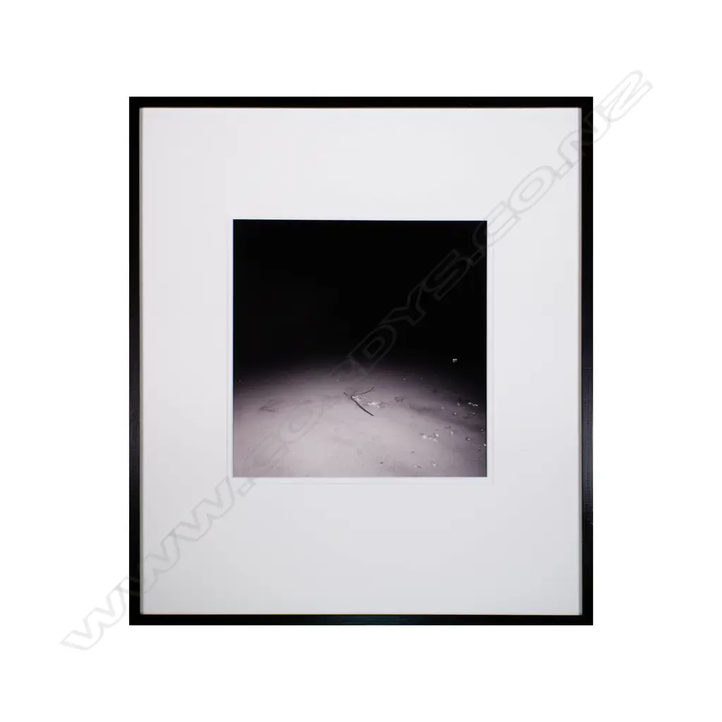 Patrick Reynolds (b. 1962) - Planter's Faith II - silver gelatin photograph Image 1++