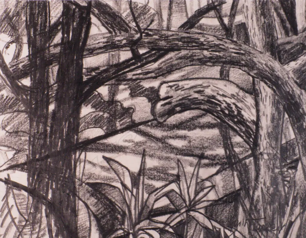 Garth Tapper (1927-1999). Takatu (Near Leigh). Charcoal. 1986 Image 1++
