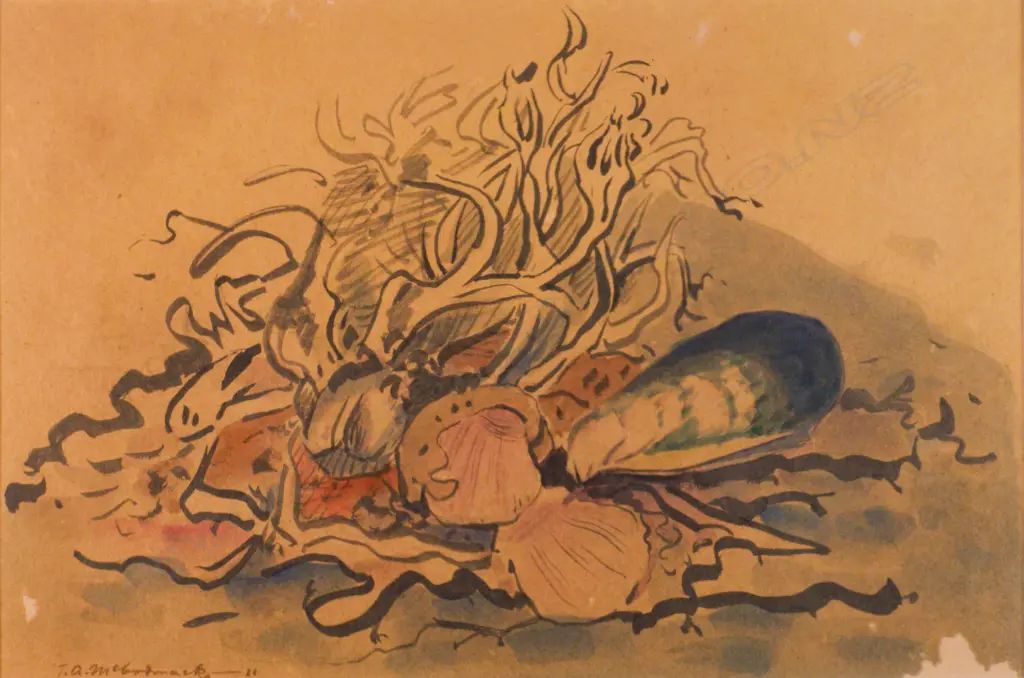 T. A. McCormack (1883-1973). Still Life with Mussels & Clams. Ink & Watercolour Image 1++