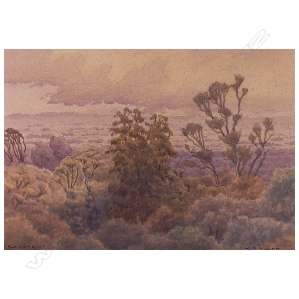 John L. Moore (1897-1965) Bush on Mount Egmont. Watercolour. 1957 Image 1++