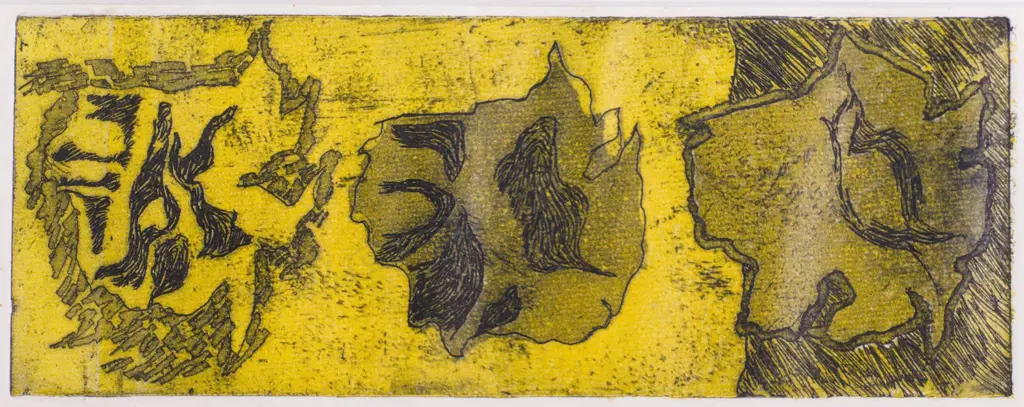 Susan Skerman - untitled abstract (Yellow) - colour etching Image 1++