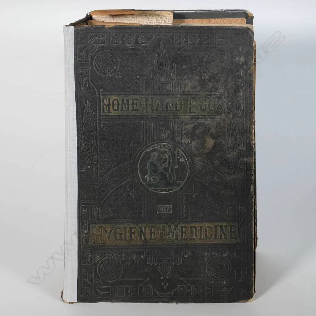 Home Handbook of Domestic Hygiene and Rational Medicine - 1902 Image 1++