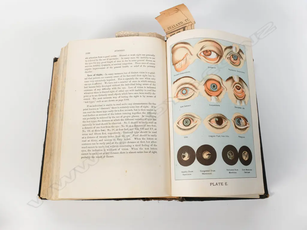 Home Handbook of Domestic Hygiene and Rational Medicine - 1902 Image 1++