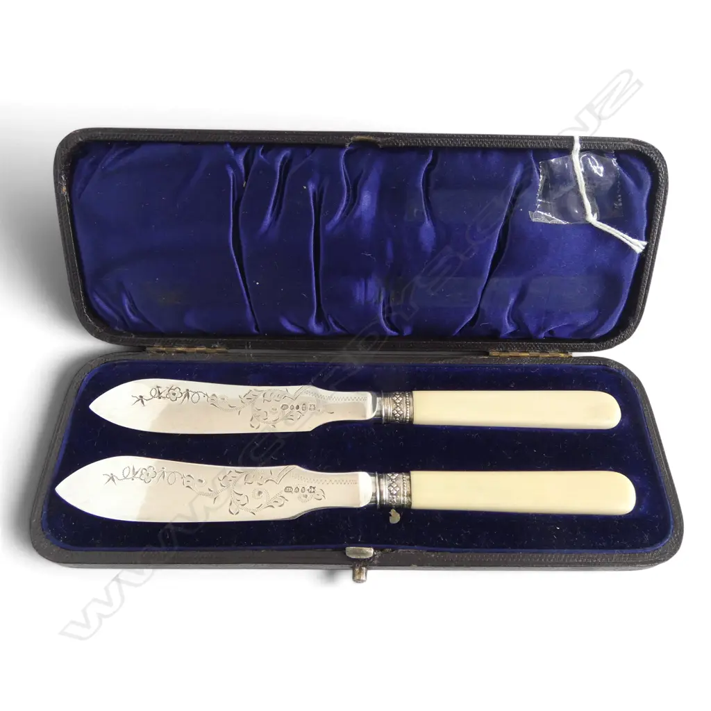 CASED SET OF TWO IVORINE 'BONE' HANDLED FRUIT KNIVES Image 1++