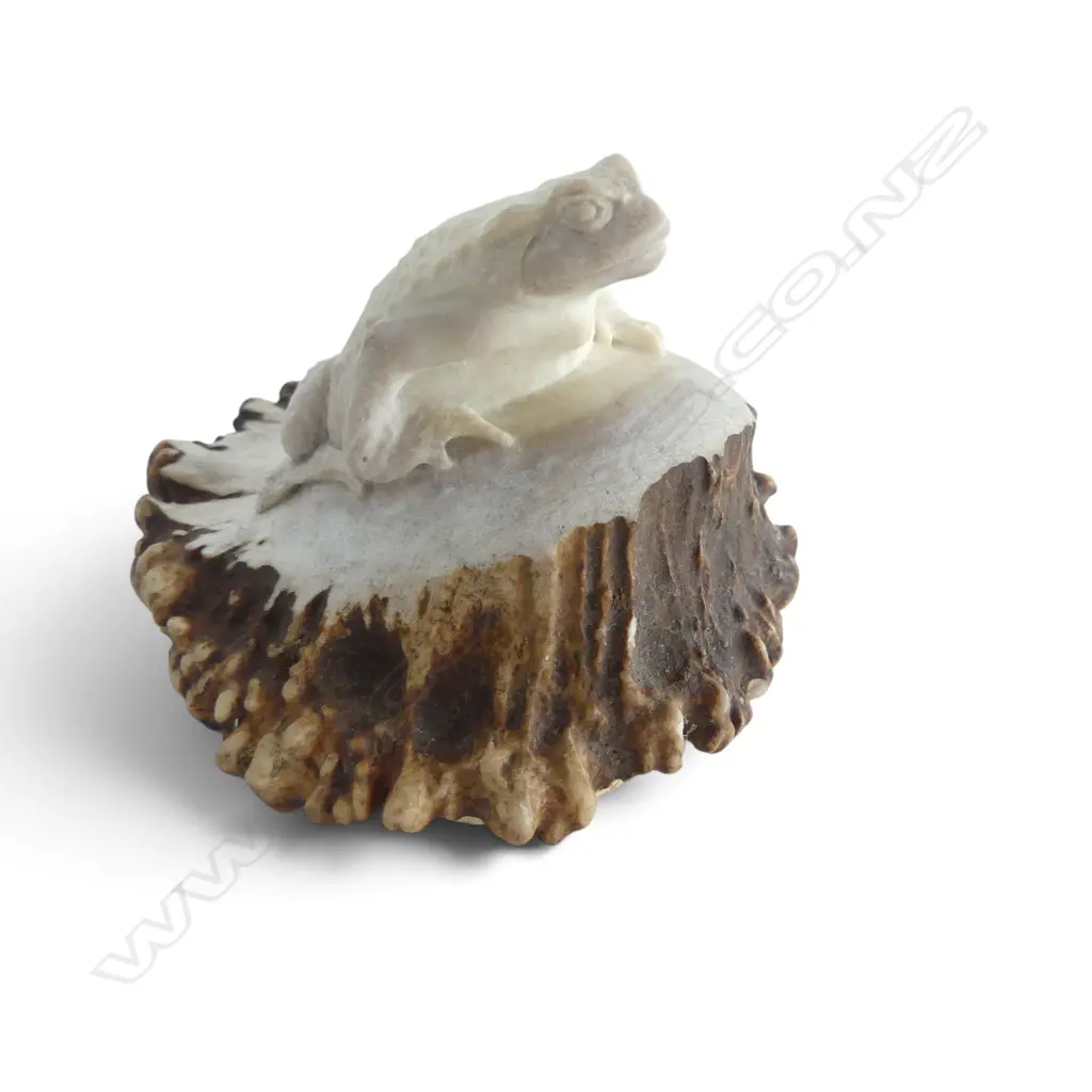 FROG CARVED FROM DEER ANTLER 75mm dia Image 1++