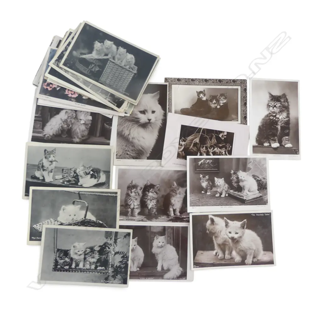26 ANTIQUE PHOTOGRPAHIC CAT POSTCARDS ‘DARBY & JOAN’ ETC Image 1++