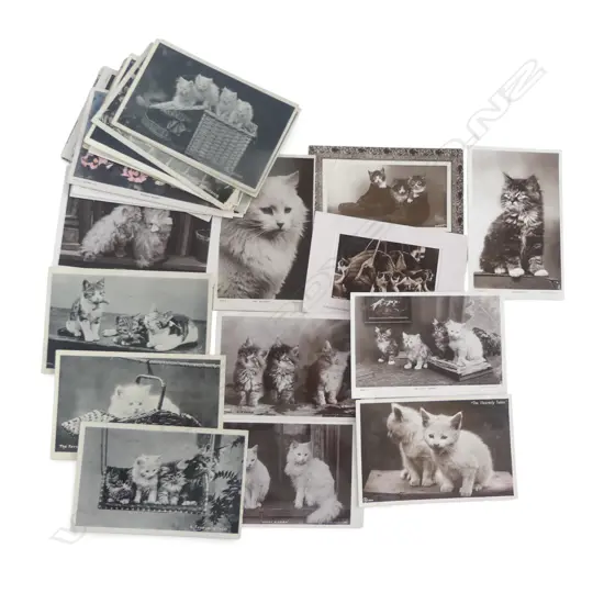 26 ANTIQUE PHOTOGRPAHIC CAT POSTCARDS ‘DARBY & JOAN’ ETC