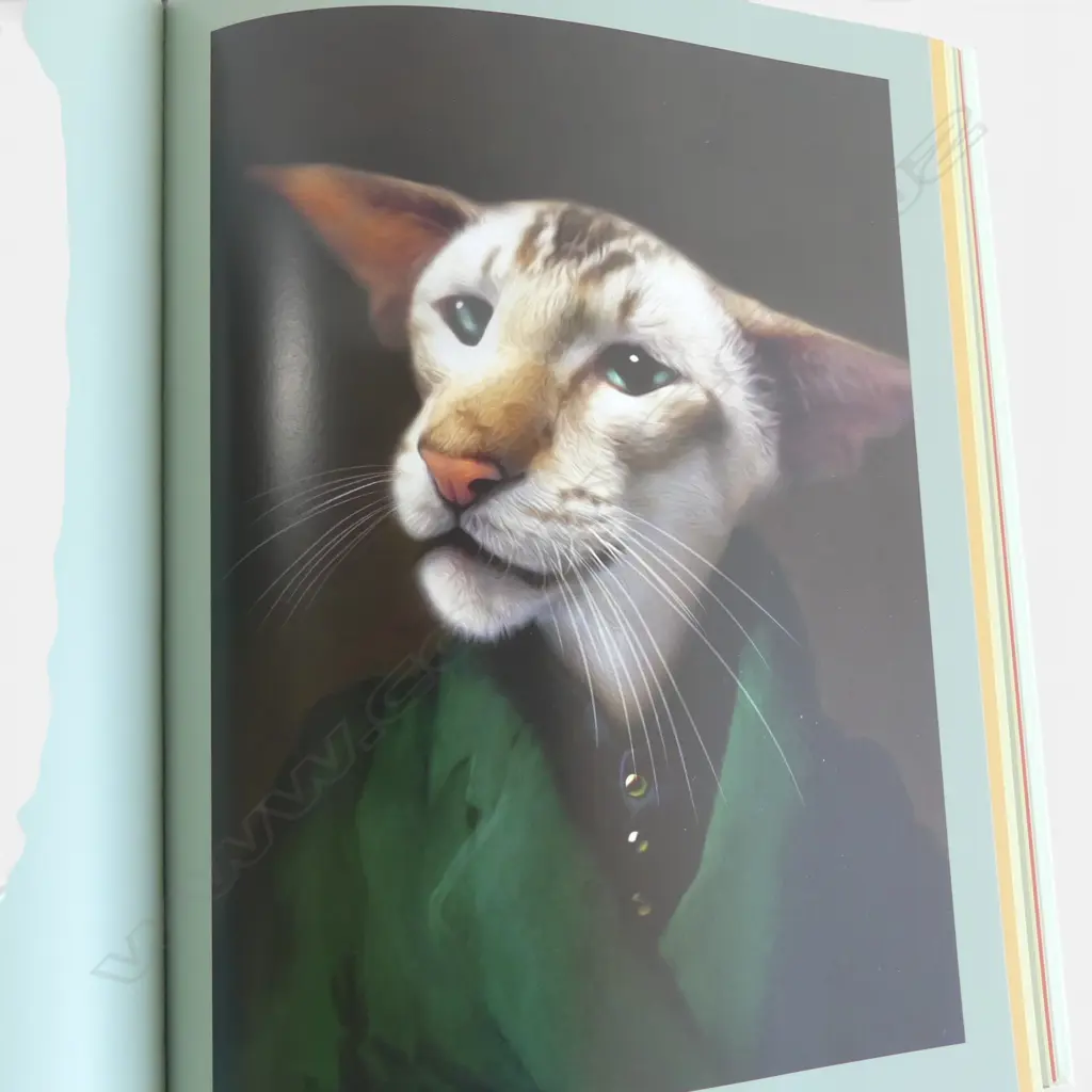 LRG COFFEE TABLE BOOK 'CAT' by TEIN LUCASSON Image 1++