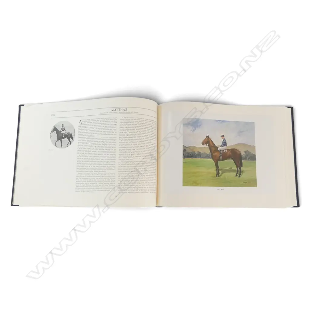 NOTABLE NEW ZEALAND THOROUGHBREDS by MARY MOUNTIER, ALLAN HUNTER & PETER KELLY Ed.654 in hardcase Image 1++