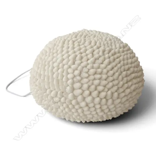 SEASHELL LAMP
