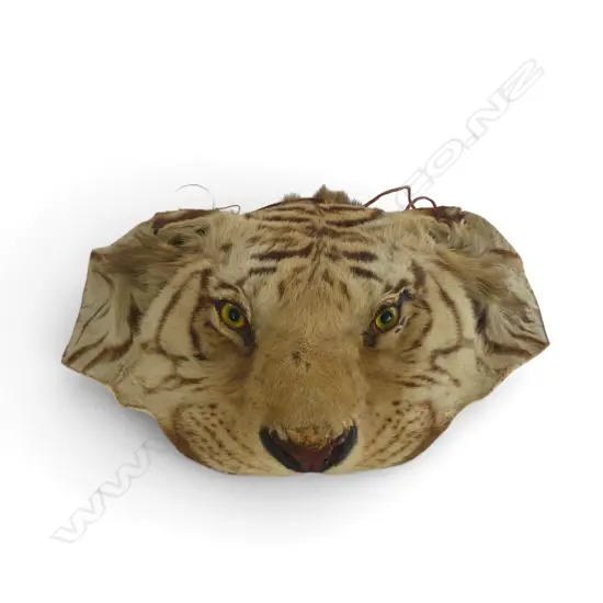 TAXIDERMY TIGER HEAD 450mm dia