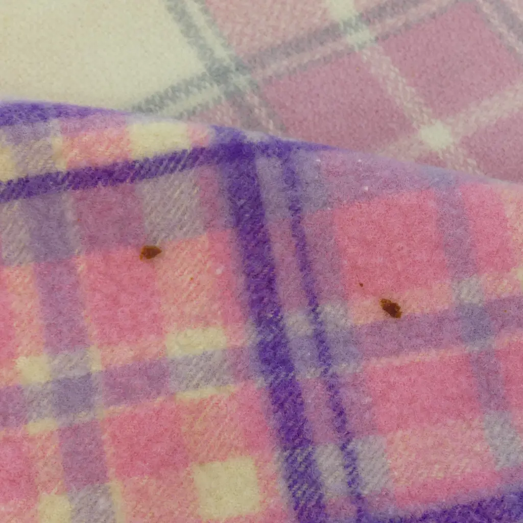 2 PINK WOOL BLANKETS (1 w. ONEHUNGA PRINCESS LABEL) Image 1++