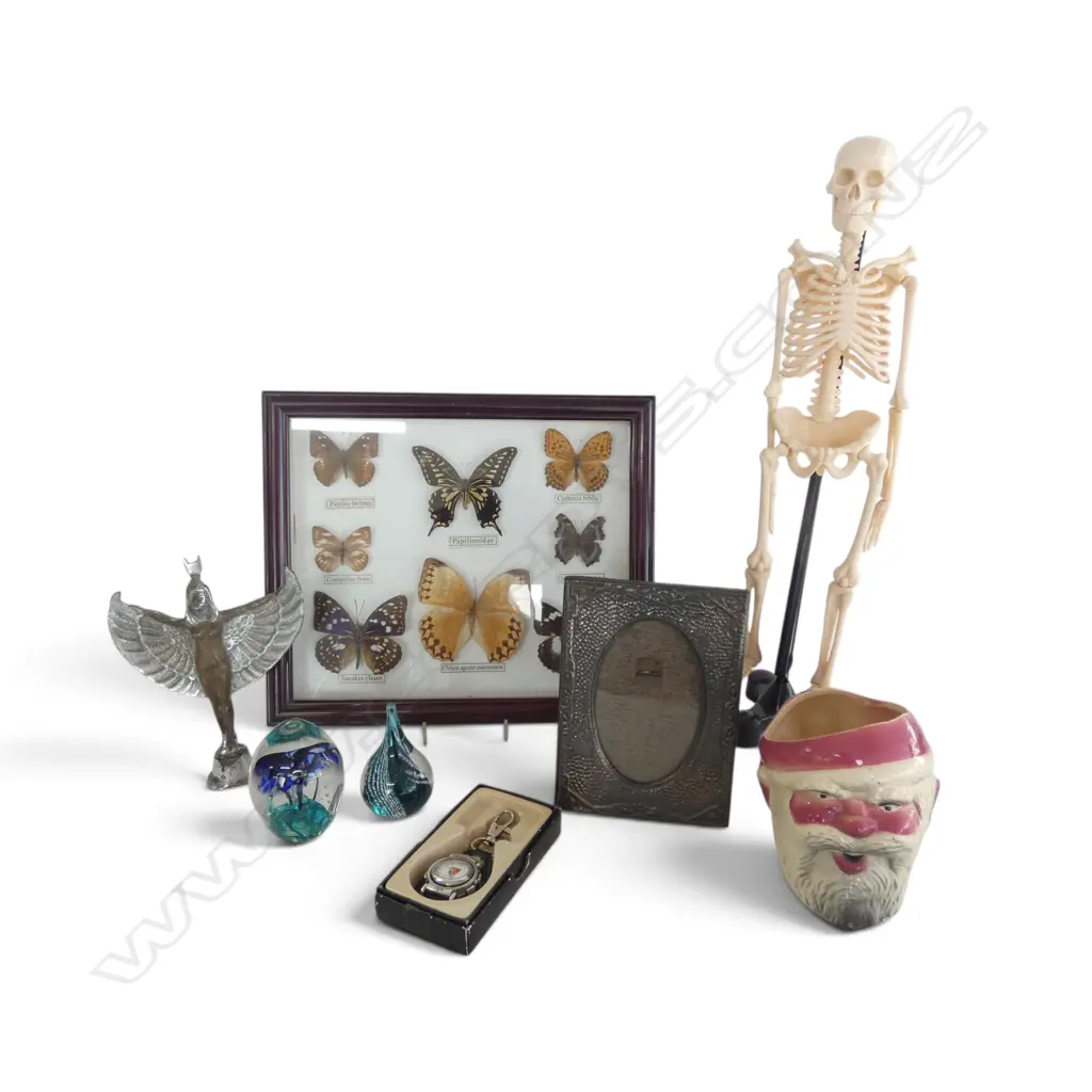 SKELETON MODEL, FRAMED BUTTERFLIES, CROWN LYNN SANTA MUG, 2 ART GLASS PAPERWEIGHTS, CAR MASCOT ETC Image 1++