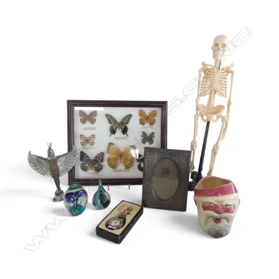 SKELETON MODEL, FRAMED BUTTERFLIES, CROWN LYNN SANTA MUG, 2 ART GLASS PAPERWEIGHTS, CAR MASCOT ETC