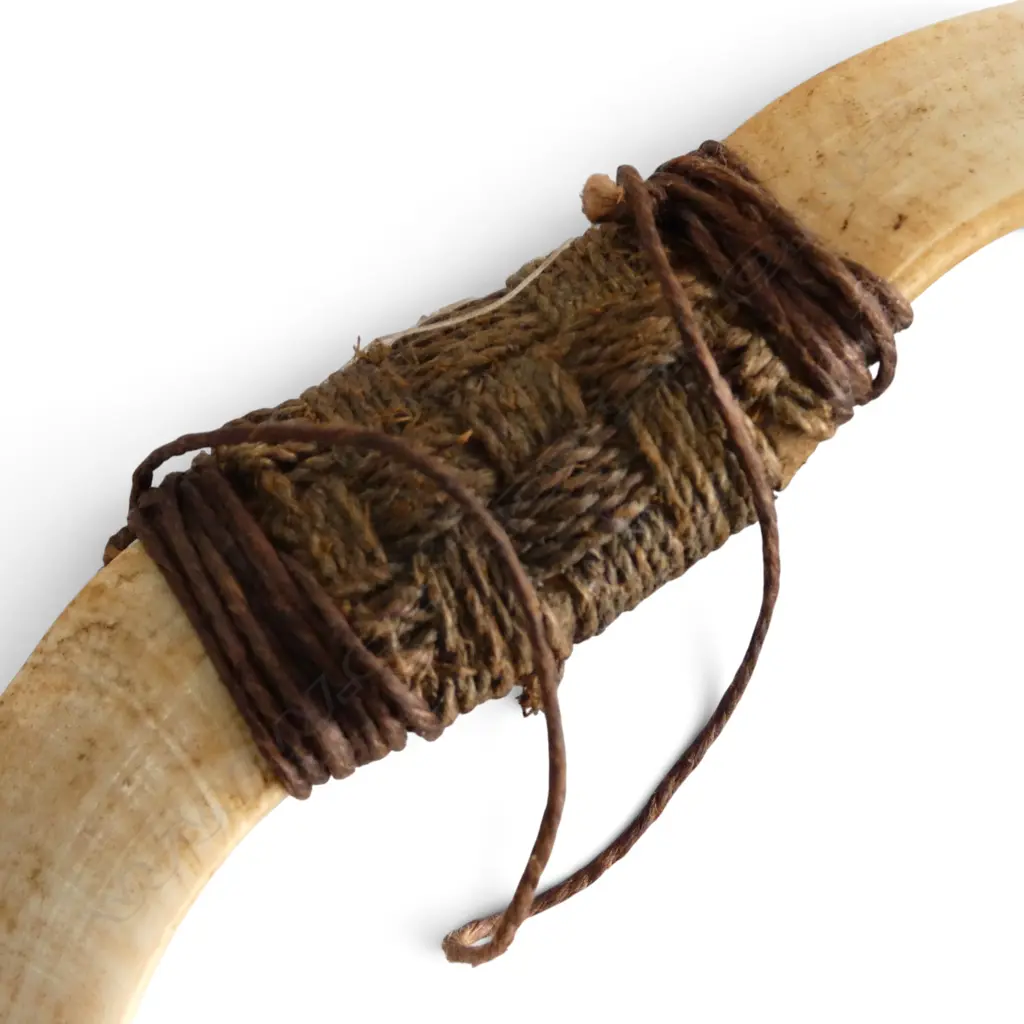 2 TUSK PENDANTS 100x145mm Image 1++