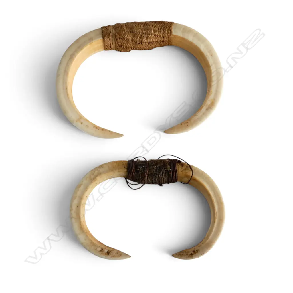 2 TUSK PENDANTS 100x145mm Image 1++
