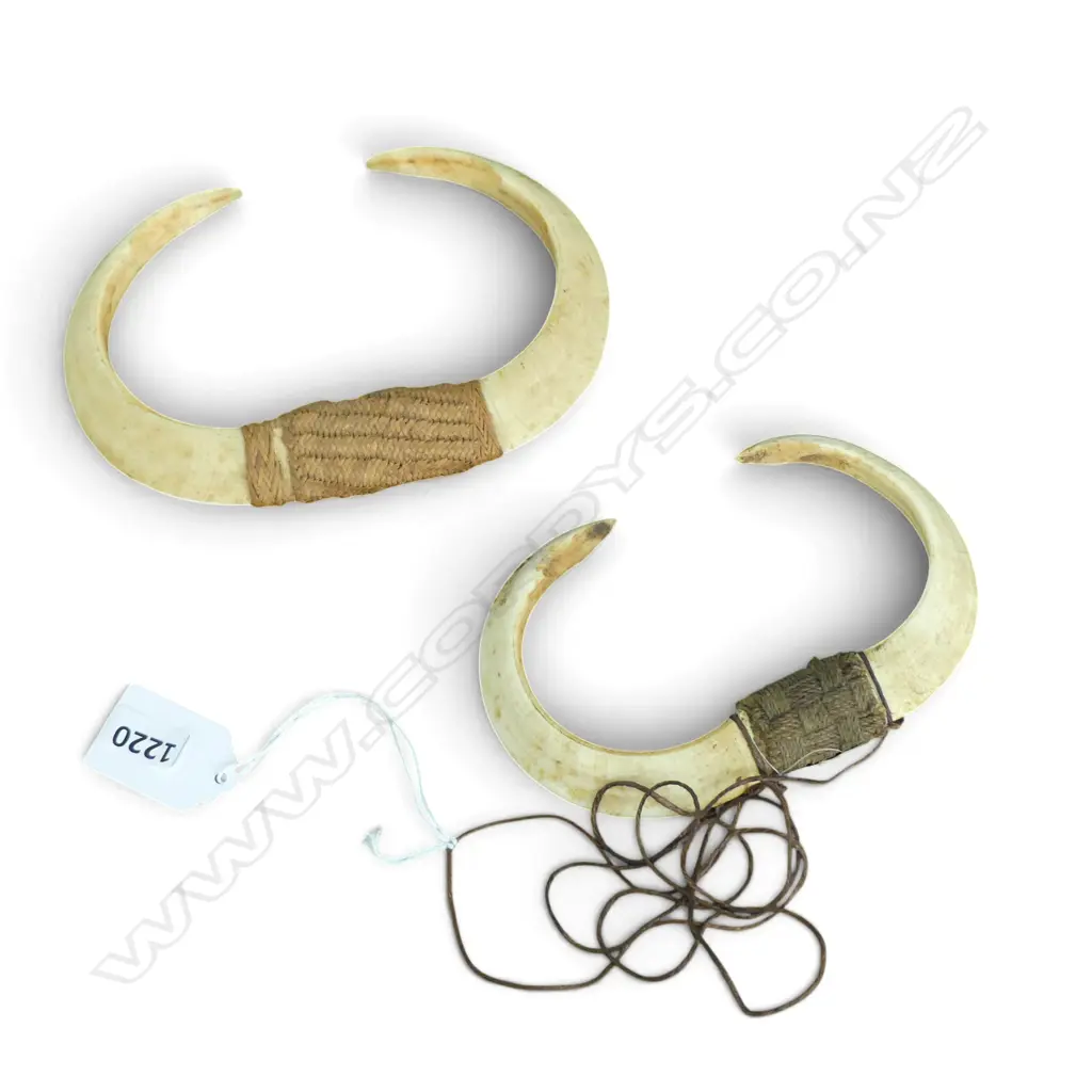 2 TUSK PENDANTS 100x145mm Image 1++