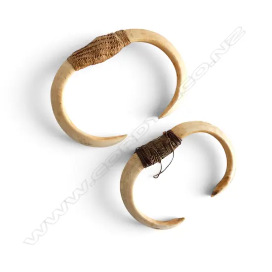 2 TUSK PENDANTS 100x145mm