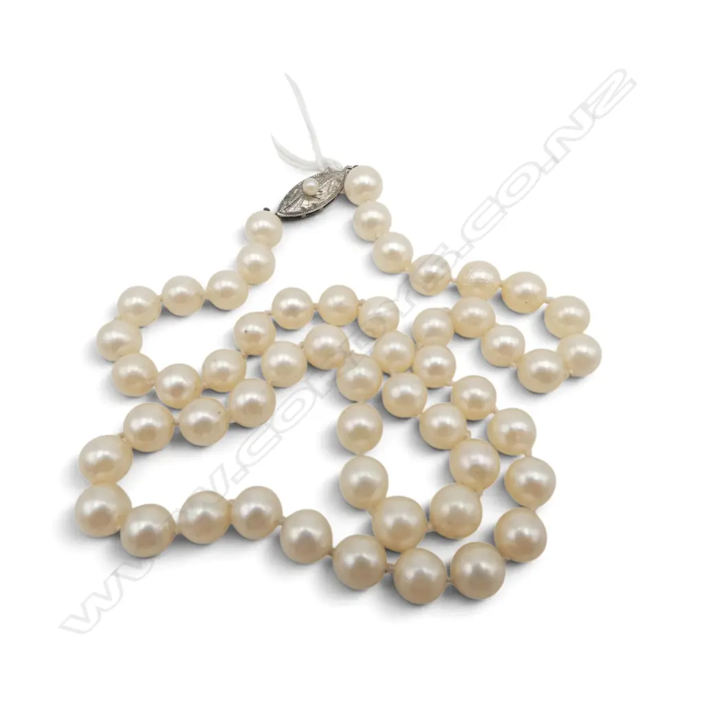 STRING OF INDIVIDUALLY KNOTTED CULTURED PEARLS S/SILVER CLASP L200MM Image 1++