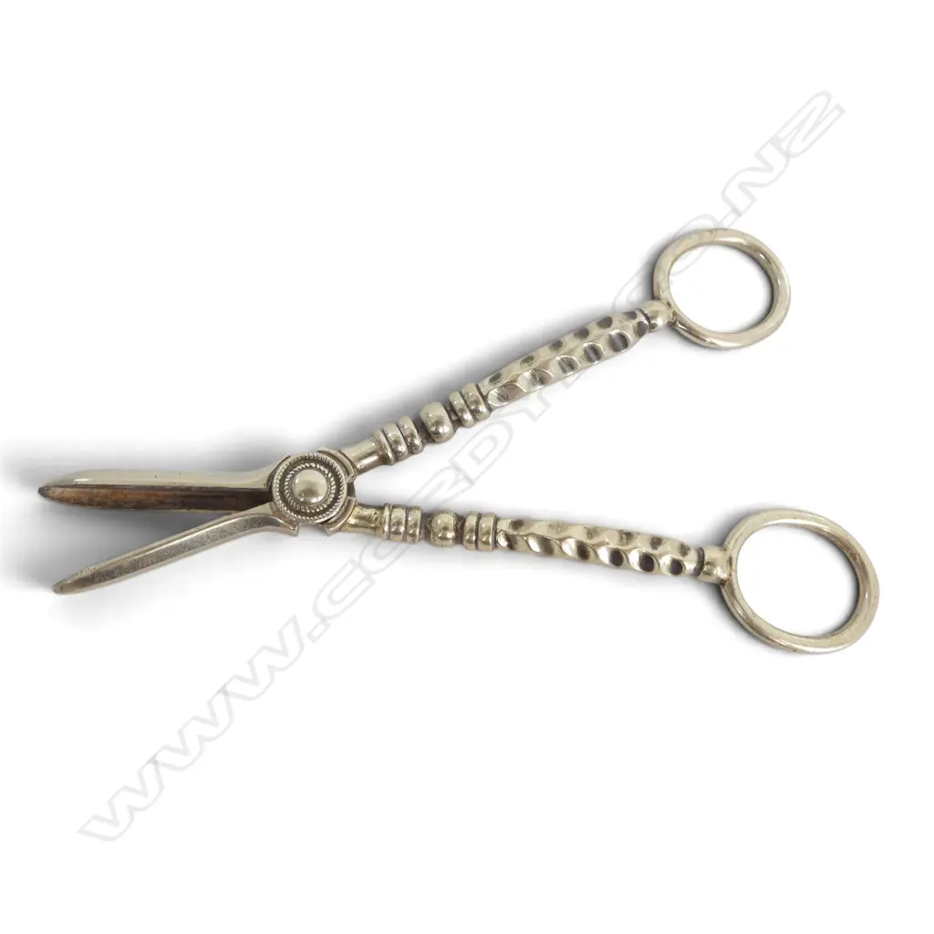 PR GRAPE SCISSORS L.150mm Image 1++